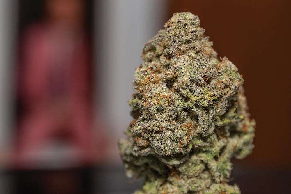 MAC 1: My Number One for Entertaining – Wicked Kind